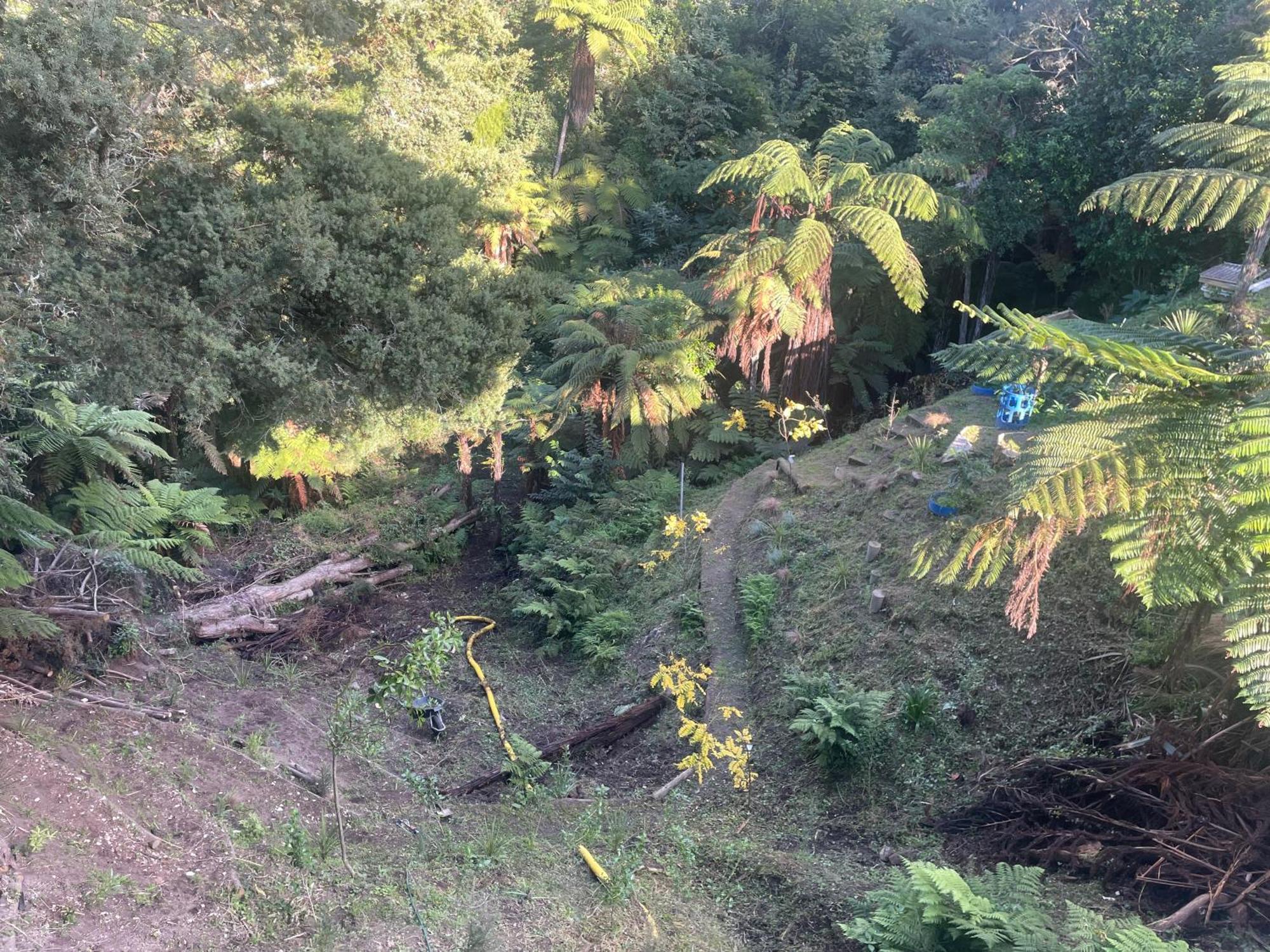 Gully Retreat Ξενοδοχείο Χάμιλτον Εξωτερικό φωτογραφία