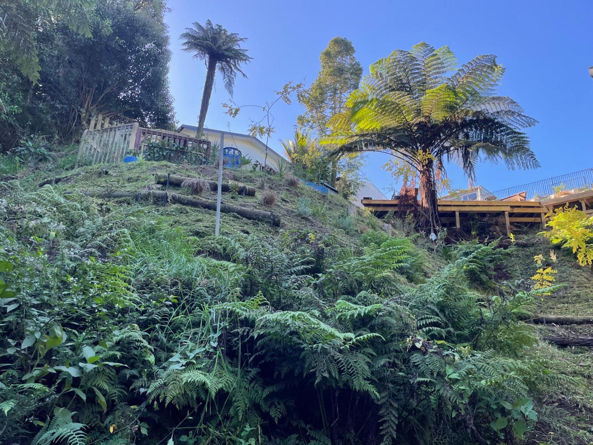 Gully Retreat Ξενοδοχείο Χάμιλτον Εξωτερικό φωτογραφία