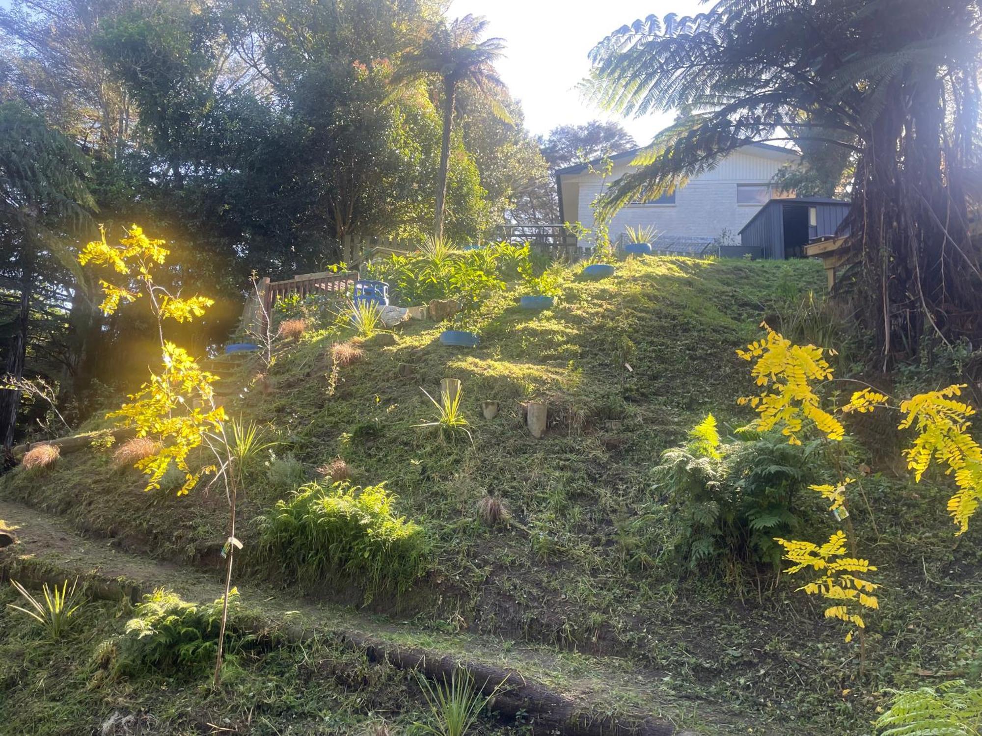 Gully Retreat Ξενοδοχείο Χάμιλτον Εξωτερικό φωτογραφία